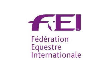 FEI_Logo_2015