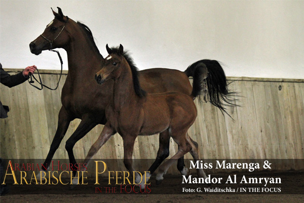 Miss Marenga + Mandor Al Amryan - IMG_0111-600px