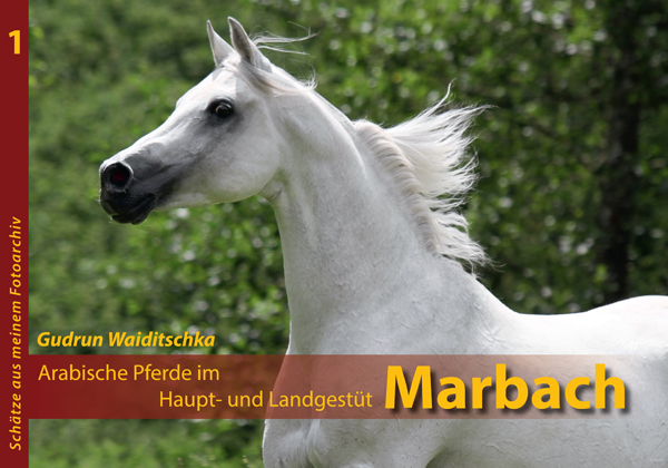 Buch Marbach - Titelbild