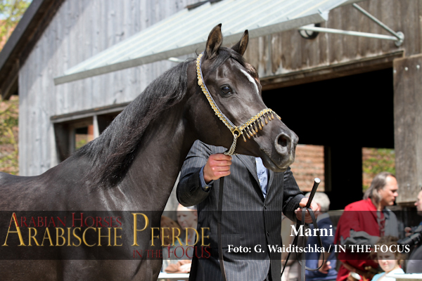 Marni + HF von Martice - IMG_5308 (c) Waiditschka
