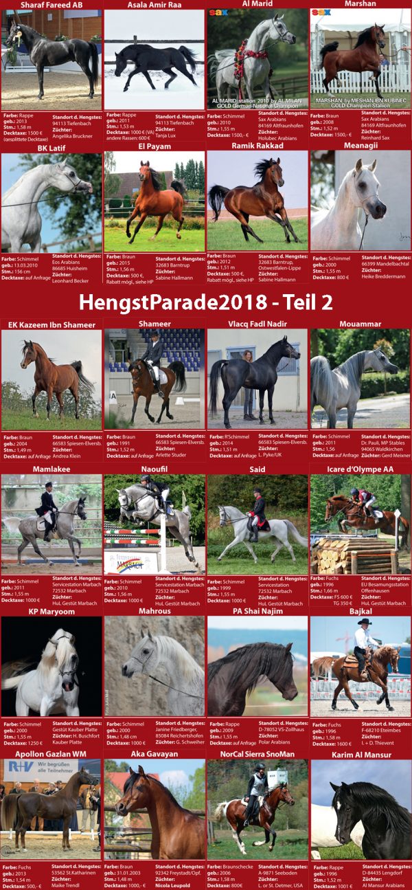 HengstParade2018 - Teil2