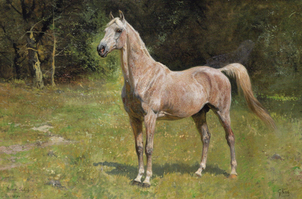 Der Anglo-Araber Nana Sahib x, Gemälde von Georg Koch